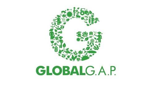 GLOBALG.A.P.: Nueva norma de aseguramiento de inocuidad alimentaria