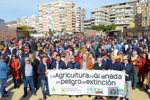 Más de tres mil agricultores se movilizan en Motril para reclamar medidas estructurales urgentes frente a la crisis de rentabilidad del sector hortofrutícola