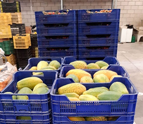 Cajamar dona la producción de frutas y hortalizas de la Estación Experimental de Las Palmerillas a familias necesitadas