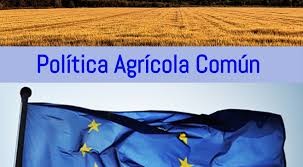 COAG pide un reforzamiento de la PAC en el nuevo presupuesto UE para garantizar la seguridad alimentaria de Europa