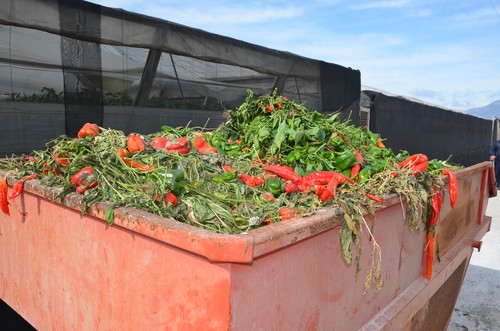 Los Cursos de Verano de la UAL abordarán alternativas para la reutilización de residuos agrícolas