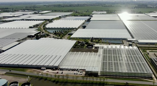  “Tomate Vision” nuevo centro Syngenta para acelerar su innovación en el cultivo del tomate