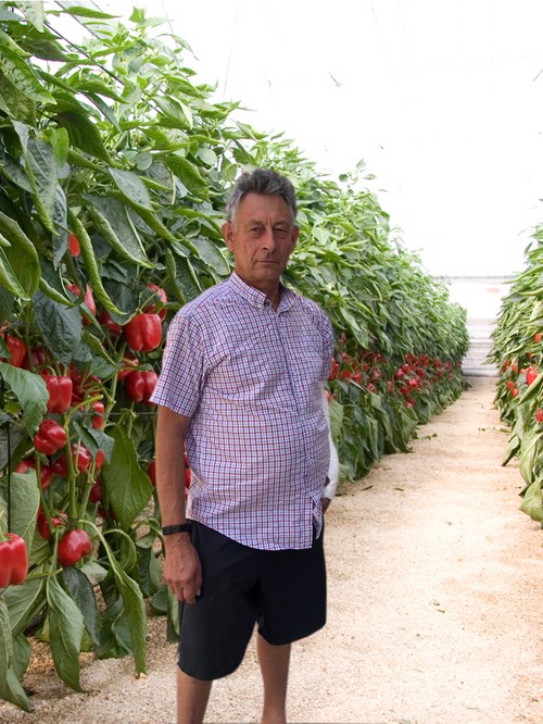“En mi zona, el cultivo sufre mucho de pudrición, sin embargo, con Arabesca RZ el fruto ha sido de calidad todo el ciclo”