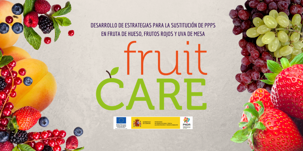 Videoconferencia Técnica de Divulgación sobre ensayos del GOS #fruitCARE: “Sustitución de PPPs en fruta de hueso, frutos rojos y uva de mesa.”