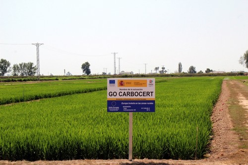 El proyecto CARBOCERT muestra cómo la agricultura mediterránea puede contribuir a la mitigación del cambio climático