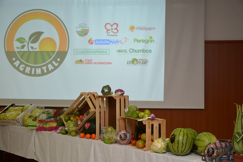 Nace AGRINTAL, la nueva Asociación de Empresas Agroalimentarias de Agricultura Intensiva al Aire Libre de Almería