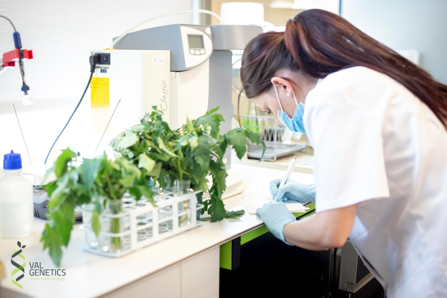 ValGenetics, en defensa de la excelencia, expone nuevas técnicas en fitopatología y genética vegetal en las Jornadas de Biotech Attraction