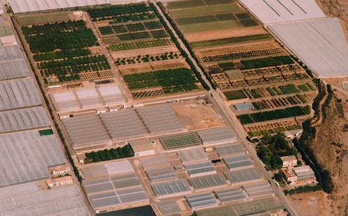 Cajamar promueve un nuevo proyecto fotovoltaico en su centro experimental de Almería