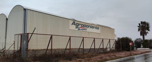 El centro logístico de Grupo Agroponiente en Ruescas vuelve a crecer en su producción y comercialización por sexto año consecutivo