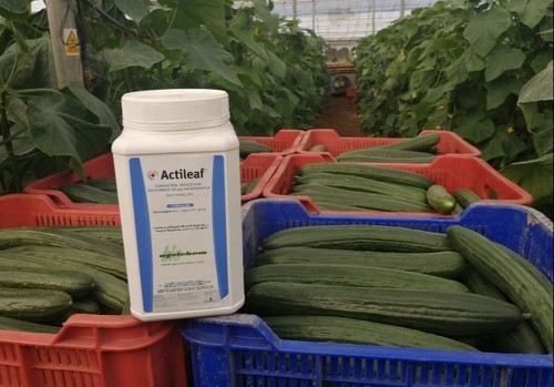 “Agrichembio, aportando bioinnovación en el control de enfermedades fúngicas”
