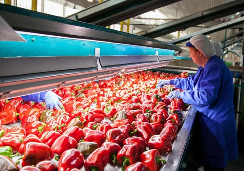 Andalucía bate su récord en exportaciones agroalimentarias en 2020 con 11.255 millones de euros y un superávit de 7.040 millones