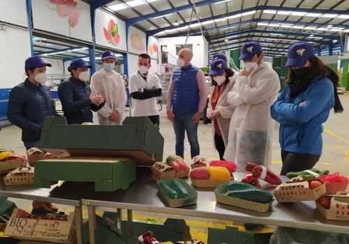 El PP-A destaca el “potencial exportador” de la agricultura de Almería