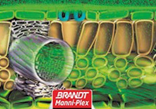 Manni-Plex, un sistema de aporte diseñado para proporcionar nutrientes a los puntos de crecimiento de la planta