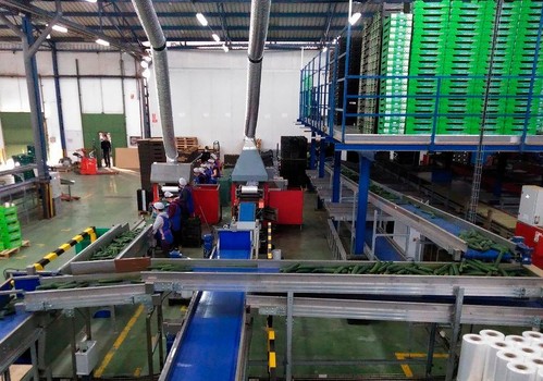Grupo Agroponiente incorpora un nuevo centro logístico en Águilas, con más de 130 hectáreas de fincas de producción y un almacén de confección