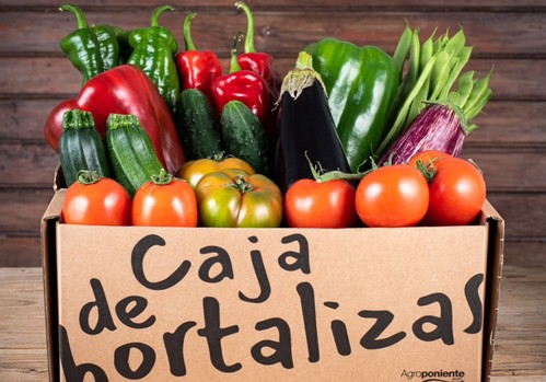 Grupo Agroponiente pone en marcha www.cajadehortalizas.com, el nuevo sitio web de referencia para la compra on line de frutas y hortalizas