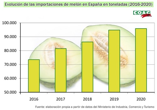 Carrefour vende melones de Brasil como si fueran españoles, según COAG