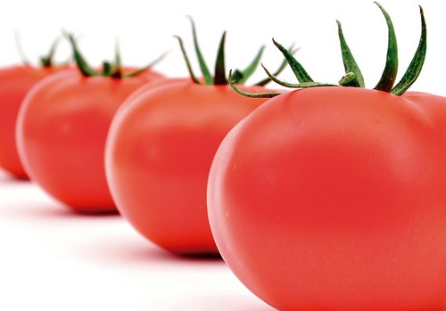 Seminis propone Bateyo, el tomate larga vida de calidad y para ciclos largos y extralargos