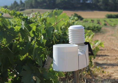 BASF presenta Agrigenio Vite: la gestión sostenible del viñedo desde el Smartphone