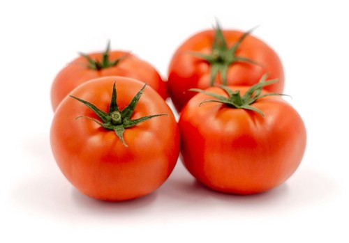 Yuksel Seeds consigue variedades resistentes al virus rugoso del tomate (ToBRFV)
