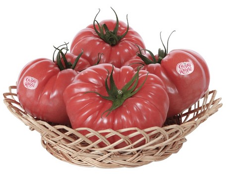 Grupo Agroponiente apuesta fuerte por el tomate de sabor, con seis variedades para satisfacer todas las demandas del mercado