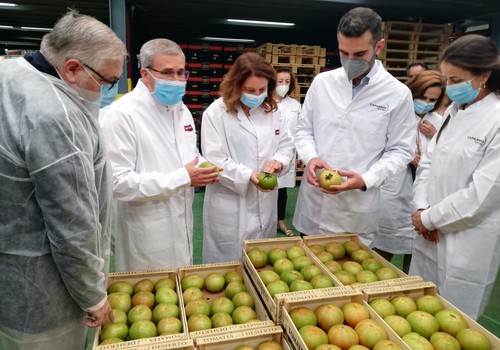  La consejera de Agricultura felicita al sector hortofrutícola almeriense por elevar sus exportaciones un 1,6% durante la pandemia