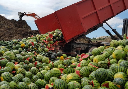 Retiran más de 150.000 kilos de melón y sandía ante los malos precios