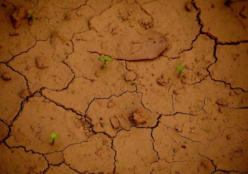 La Junta aprueba el decreto de sequía con medidas para reducir riesgos y garantizar el abastecimiento