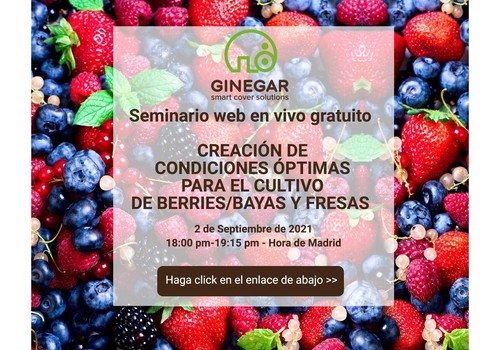 Ginegar presenta su próximo webinar: creación de condiciones óptimas para el cultivo de berries/bayas y fresas