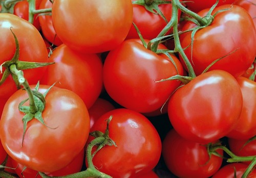 El tomate mejora su cotización en la última semana y la berenjena supera el euro
