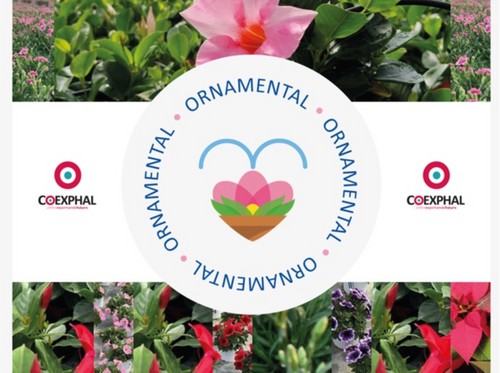 El sector de planta ornamental de Coexphal estará presente en Iberflora
