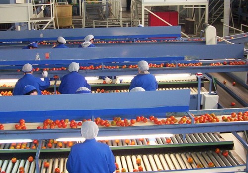 La Junta da a 97 organizaciones de productores  de frutas y hortalizas ayudas por 108,8 millones
