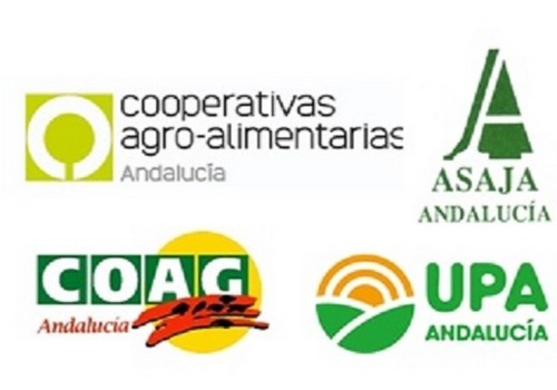 El sector agrario lamenta el menosprecio de Luis Planas al campo andaluz al avanzar con su Plan Estratégico