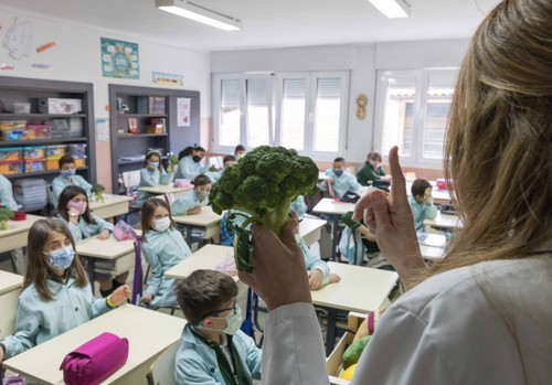 La Pandi, el proyecto de Sakata que fomenta la alimentación saludable en los colegios, recibe el premio Naos en Madrid