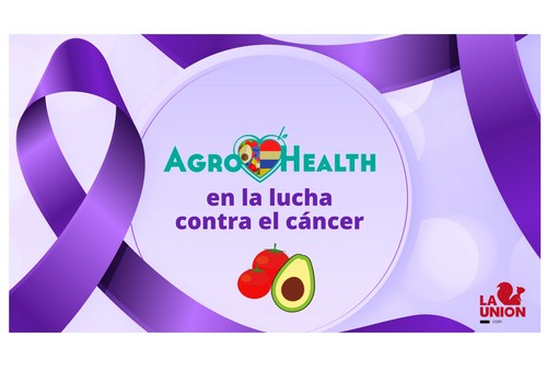 Agrohealth, un proyecto de La Unión y Kimitec con aguacates y tomates para luchar contra el cáncer