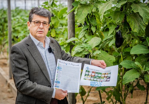 El PP solicita la comparecencia de Alberto Garzón para que explique por qué ignora sistemáticamente las hortalizas almerienses