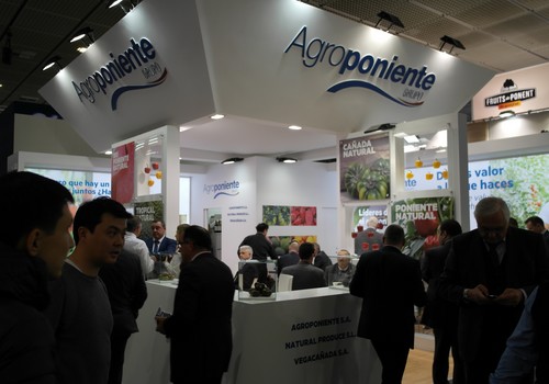 Grupo Agroponiente no faltará a la cita en el regreso de Fruit Logística, con toda su potencia comercial y una agenda cargada de encuentros