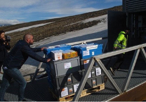 El CSIC deposita mil variedades de semillas en el ‘Arca de Noé’ vegetal del Ártico