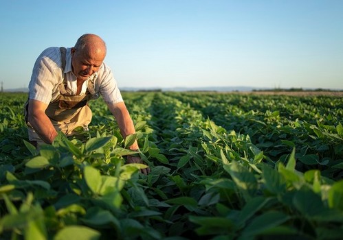 La mejora vegetal, clave para que la agroalimentación siga siendo la primera actividad industrial de España