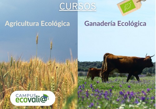 Ecovalia lanza dos cursos sobre agricultura y ganadería ecológicas
