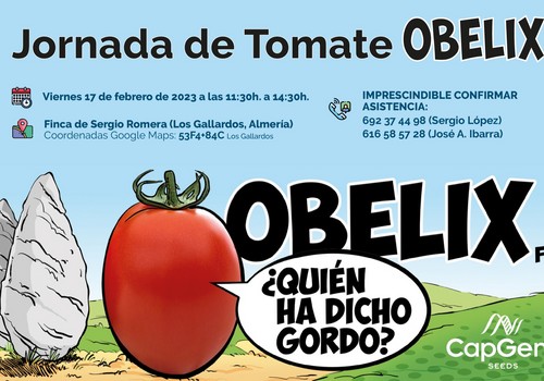 Jornadas de Puertas abiertas del tomate Obelix de CapGen Seeds en Los Gallardos