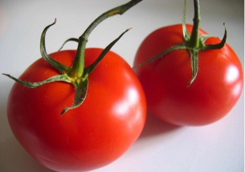 El coste medio de la producción de tomate en invernadero aumenta un 34% en las dos últimas campañas