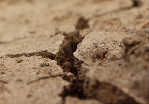 ASAJA-Almería solicita al Ministerio de Agricultura que no paralicen las ayudas por la sequía anunciadas el 11 de mayo