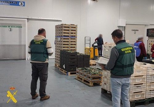 La Guardia Civil desarticula una banda que estafó 130.000 euros a empresas agrícolas