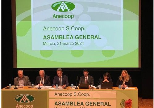  Anecoop aumenta su cifra de negocio un 2,7% frente a un descenso en el volumen comercializado
