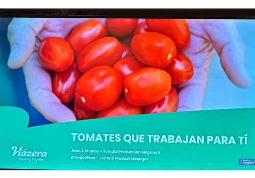 Hazera presenta su proyecto internacional 'Tomates que trabajan para ti'