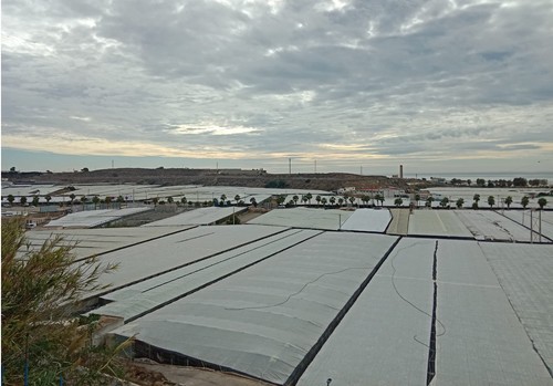 COAG Almería: “La grave crisis de precios pone en peligro a miles de explotaciones familiares”