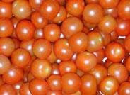 Francisco José Cazorla, comercial de NíjarSol S.A.T.: “El frío regula la producción de cherry, que, de momento, mantiene buenas cotizaciones”