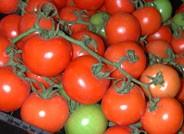 Francisco Abad, gerente de Dafrán S. L.: “Tomate y pimiento destacan sobre el resto de productos por sus buenos precios”