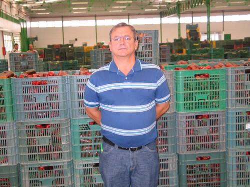 Juan Ruiz, comercial de Frudelia S. L.: “el buen clima en Europa influye al alza en los precios del melón y la sandía almerienses”
