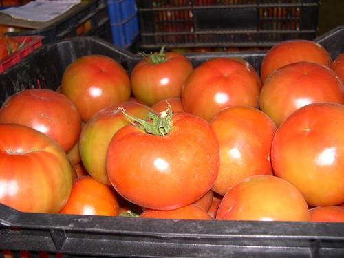 El tomate se suma a la tendencia a la baja de pimiento, calabacín o berenjena